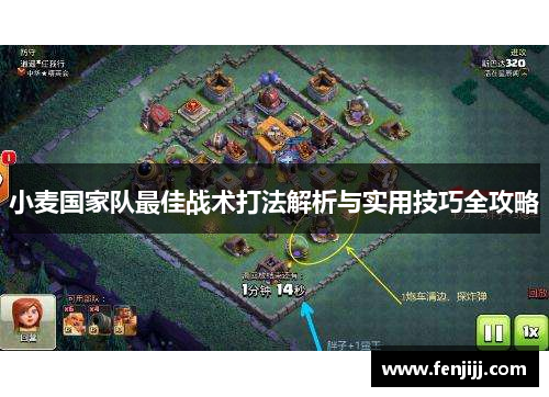 小麦国家队最佳战术打法解析与实用技巧全攻略